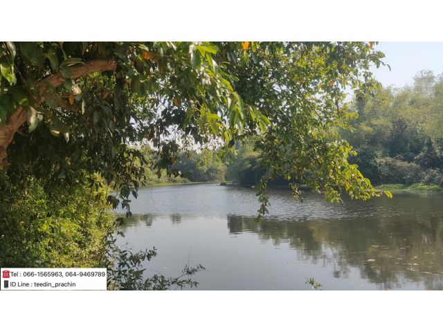 ขายที่ติดคลอง ติดน้ำ มีต้นไม้ใหญ่ ที่ติดถนนลาดยาง เนื้อที่ 3 ไร่เศษ