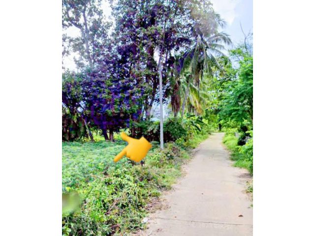 ที่ดินอยู่อาศัย กลางชุมชน อ.ชำนิ บุรีรัมย์