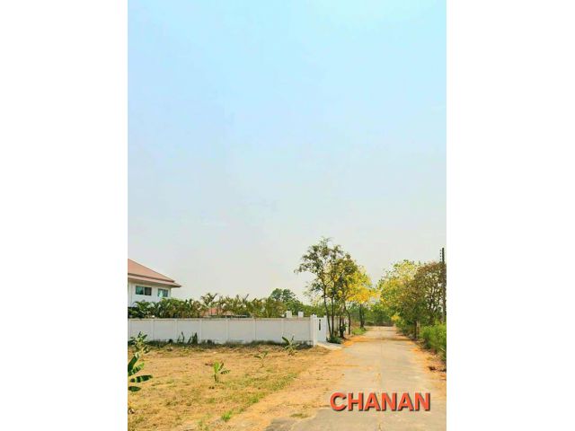 ขายที่ดิน ม.เวลเนสซิตี้ ถ.โยธาธิการ พระนครศรีอยุธยา3111 อ.บางไทร เนื้อที่395ตรว