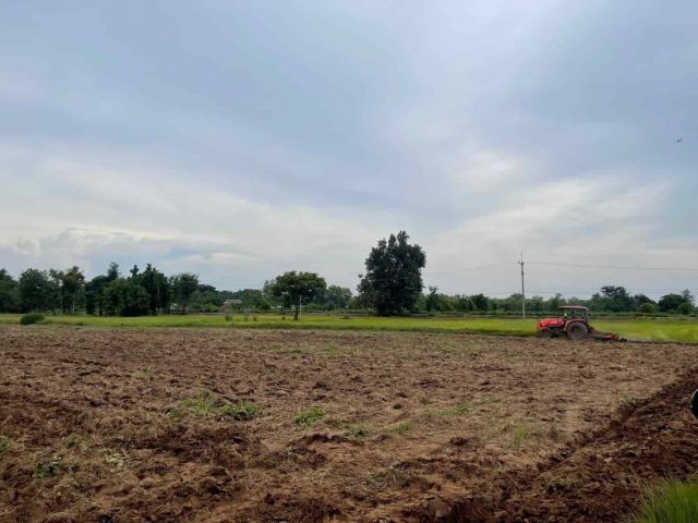 ขายถูกมาก!! ที่ดินเปล่า 45 ไร่ หน้ายาวติดถนน ต.ดงขุย อ.ชนแดน เพชรบูรณ์ ใกล้ถนน4เลน  สายอินทร์บุรี-เชียงใหม่