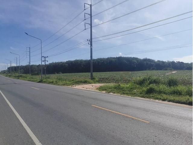 ขายที่ดินแปลงสวย ทำเลดี โซนนิคมพัฒนา ระยอง