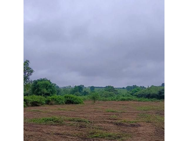 ขายที่ดินแปลงสวย ราคาดี โซนมาบยางพร ปลวกแดง ระยอง