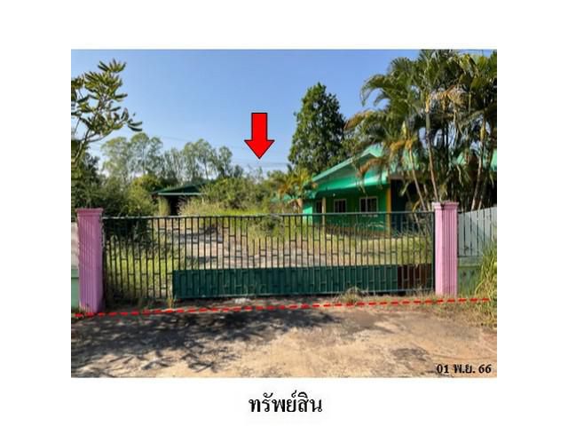 ขายโรงงาน/โกดัง ตำบล วิศิษฐ์ อำเภอ เมืองบึงกาฬ จังหวัด บึงกาฬ