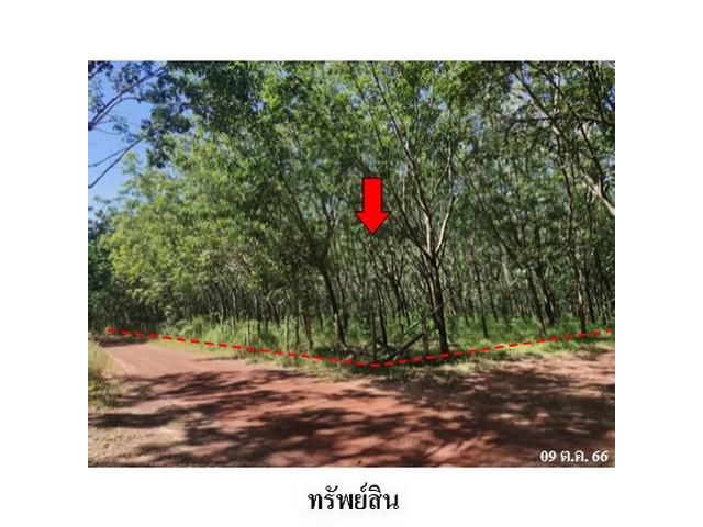 ขายที่ดินว่างเปล่า ต.วิศิษฐ์ อำเภอ เมืองบึงกาฬ จังหวัด บึงกาฬ