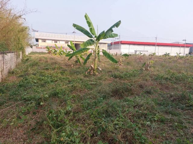 ขายที่ดิน 2 ไร่ ผังชมพู ถนนเอกชัย–โพแจ้ ซอยบ่อดิน คลองสี่วา สมุทรสาคร ใกล้ถนนพระราม 2  ถมแล้วเสมอถนน ทำโรงงานได้ ขอ รง.4