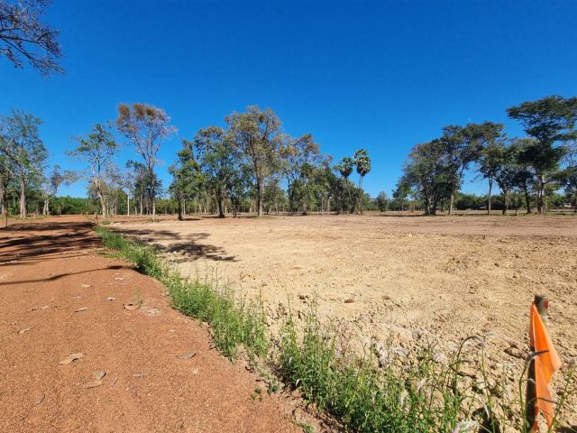 ขายที่ดินดงบัง ประจันตคาม สด/ผ่อน เริ่มต้น 1 ไร่ ใกล้ถ.สุวรรณศร 33 – 1 กม. ใกล้แหล่งชุมชน จ.ปราจีนบุรี