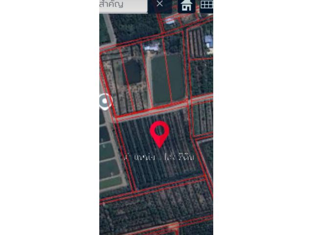 ขายที่ดินเปล่า จำนวน 6 - 3 - 07ไร่ อยู่ด้านหลังวัดป่ากิตติภาวนา
