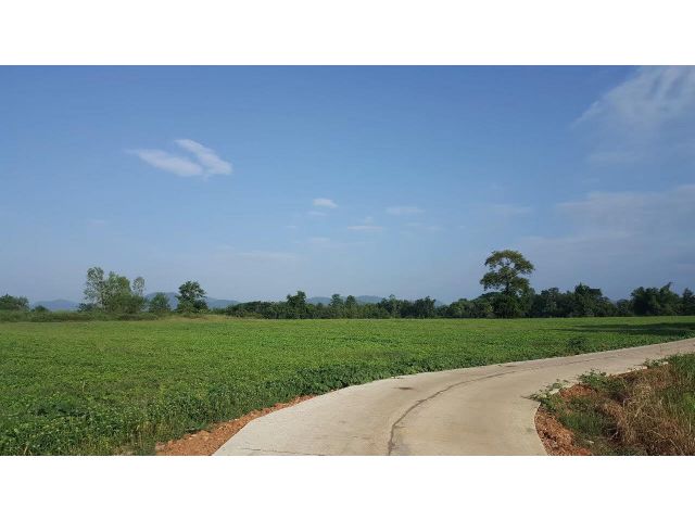 ขายที่ดินทำเลดี น้ำไม่ท่วม วิวภูเขา