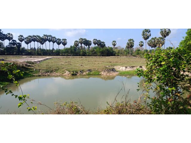 ขายที่ดินนนทรี 10 ไร่ ใกล้ถนนเส้นสุวรรณศร33-2.3กม. อ.กบินทร์บุรี จ.ปราจีนบุรี