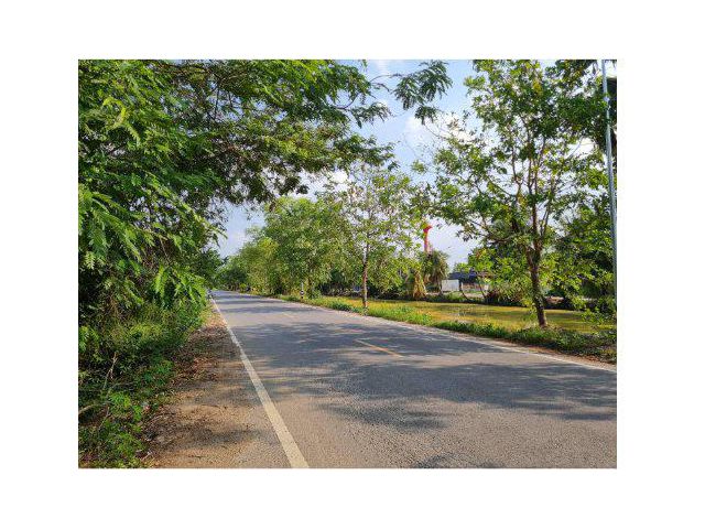 ขายที่ดิน 60 ไร่ คลอง12 ติดถนนเลียบคลองสิบสองฝั่งตะว้นออก ต.หนองสามวัง อ.หนองเสือ จ.ปทุมธานี