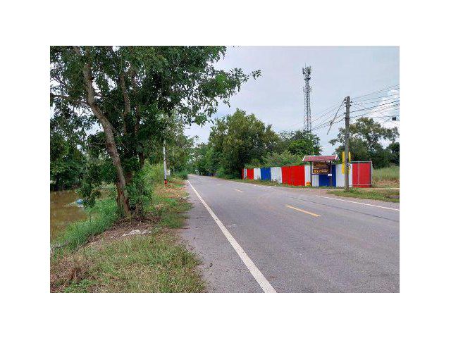 ขายที่ดิน 29 ไร่ ติดถนนเลียบคลอง 12 ฝั่งตะวันออก ต.หนองสามวัง อ.หนองเสือ จ.ปทุมธานี