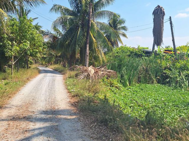 ขายที่ดิน 4-0-87 ไร่ อ.ลาดบัวหลวง , ใกล้ถนนหมายเลข 4009
