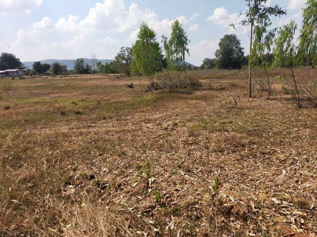 ขายที่ดินเปล่า 15 ไร่ ต.รางบัว อ.จอมบึง จ.ราชบุรี