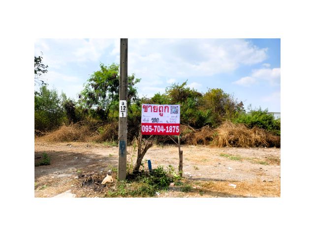 ขายที่ดินบางบัวทอง นนทบุรี – ซอยปลาหมึก 200 ตร.ว.