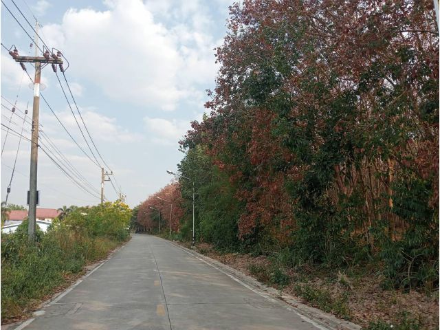 ขายที่ดินนิคมพัฒนา ระยอง 89ไร่ 82.7ตรว. สีส้ม ใกล้นิคมอุตสาหกรรม เหมาะสำหรับทำ โรงงาน โกดัง คลังสินค้า บ้านจัดสรร