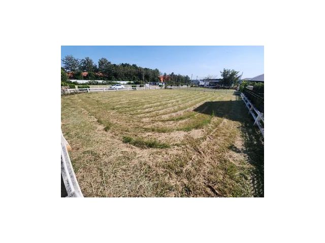 ที่ดินเปล่าในโครงการ Green Montana ปากช่อง–เขาใหญ่ แปลงมุม 151 ตร