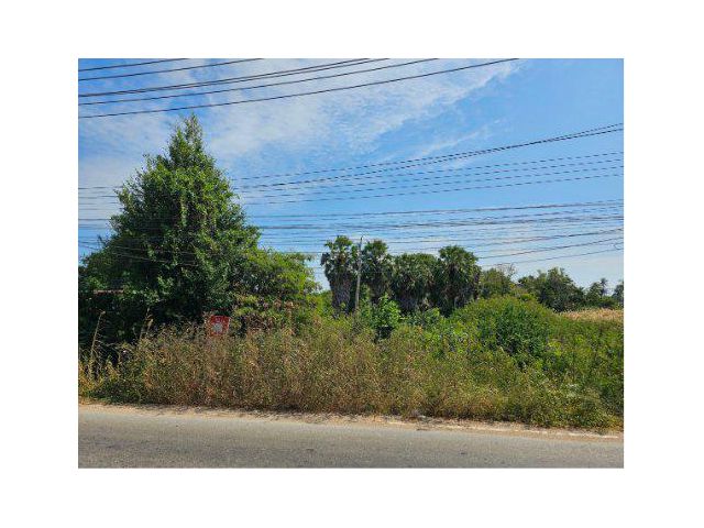 ขายที่ดิน 2 ไร่ ติดถนนเพชรเกษม ต.วังก์พง อ.ปรานบุรี จ.ประจวบคีรีขันธ์