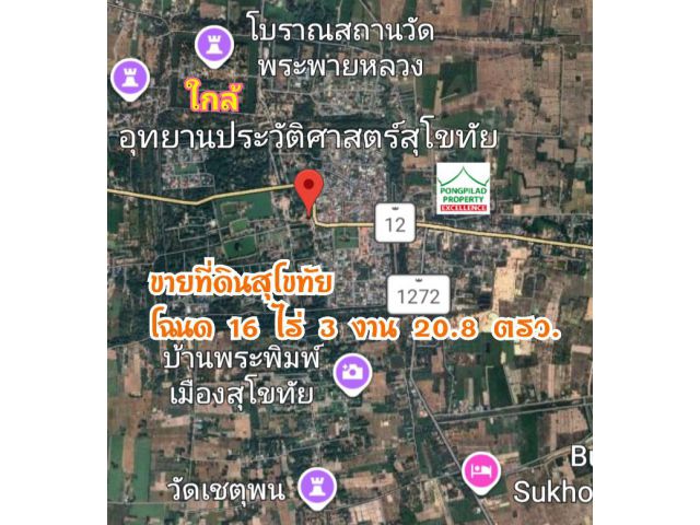 ขายที่ดินเมืองเก่า ใกล้อุทยานประวัติศาสตร์สุโขทัย 16 ไร่ 3 งาน 20.8 ตรว. ไร่ละ 160,000 บาท
