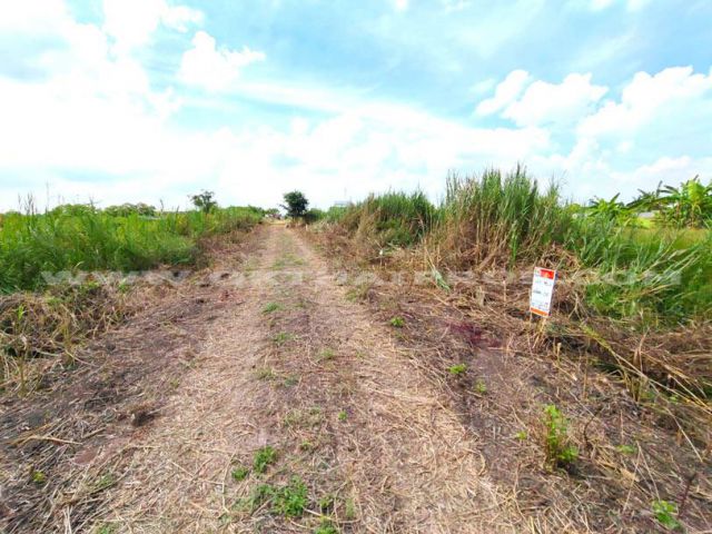 ที่ดินจัดสรรล็อคที่ 20 ถ.346 ต.หน้าไม้ อ.ลาดหลุมแก้ว จ.ปทุมธานี