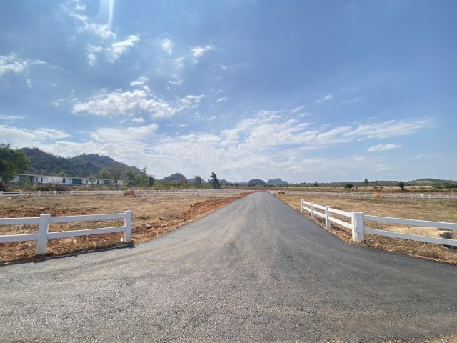 ขายที่ดินเขาใหญ่ 200 ตรว.โครงการคลองม่วงฮิลล์ วิวเขาล้อมรอบ