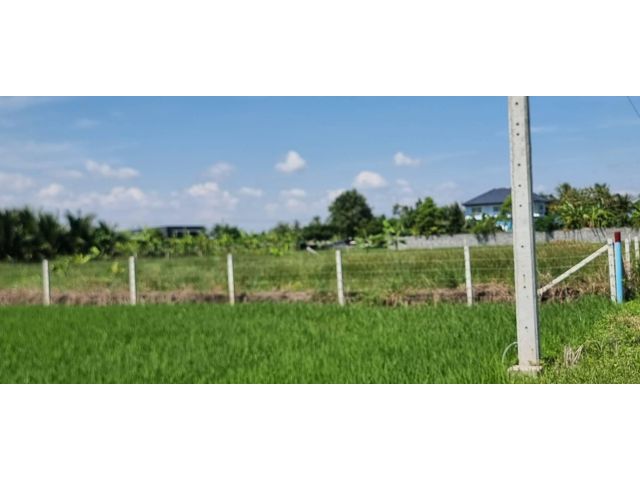 ขายที่ดิน 1 ไร่ ใกล้สุวรรณภูมิ