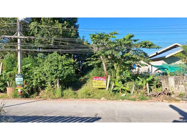 ขายที่ดินสวยติดหัวมุมถนน 82 ตร.วา. ซ.กลางเมือง 5 หลังไทยฟู๊ดเมือง