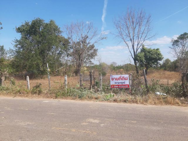 ขายที่ดิน 10 ไร่ราคาถูก