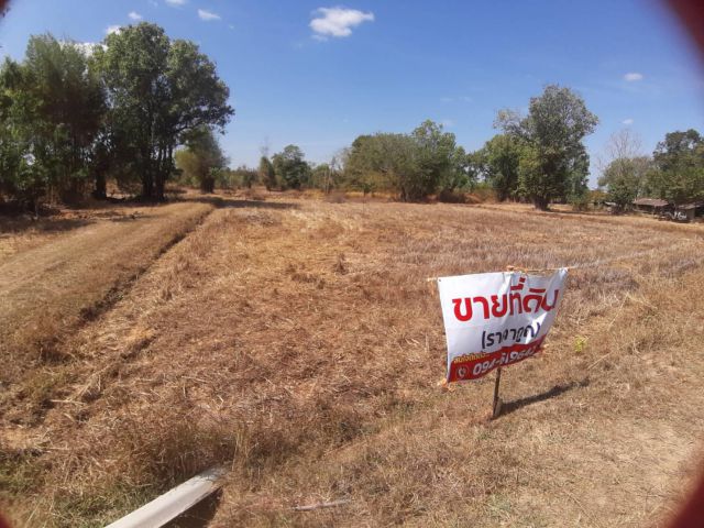 ขายที่นามีโฉนด 16 ไร่ๆ 75000 บาทด่วน