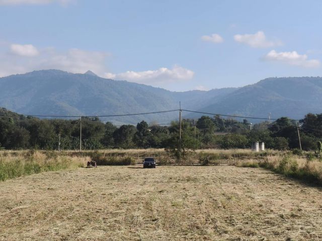 ขายที่ดินเขาใหญ่ หมูสี ที่ติดเขา วิวอุทยานแห่งชาติเขาใหญ่ชัดสวยมาก ท่าช้าง ใกล้ถนนธนะรัชต์ ใกล้เส้น 3052 เดินทางสะดวก ติ