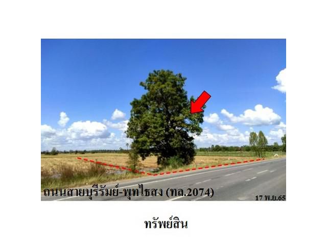 ขายที่ดินว่างเปล่า ต.บ้านจาน อำเภอ พุทไธสง จังหวัด บุรีรัมย์