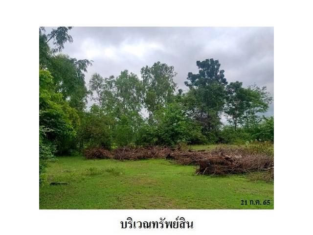 ขายที่ดินว่างเปล่า ต.หนองคู อำเภอ ลำปลายมาศ จังหวัด บุรีรัมย์