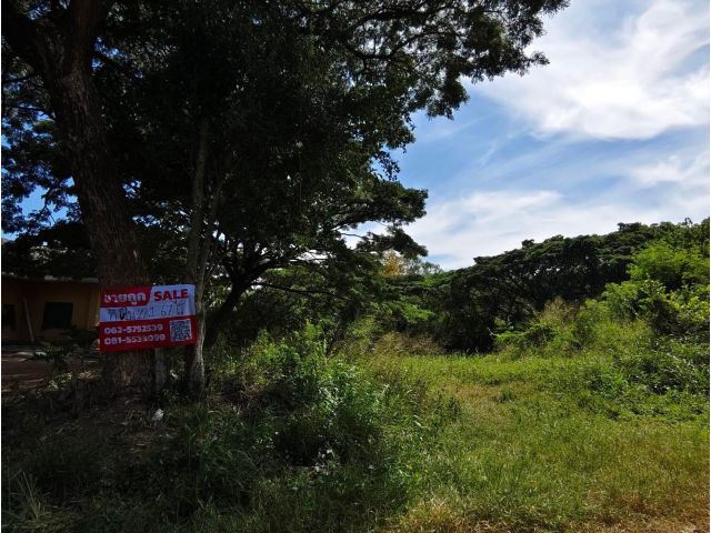 ขายที่มวกเหล็ก22-2-67ไร่ เหมาะทำจัดสรร ,รีสอร์ท