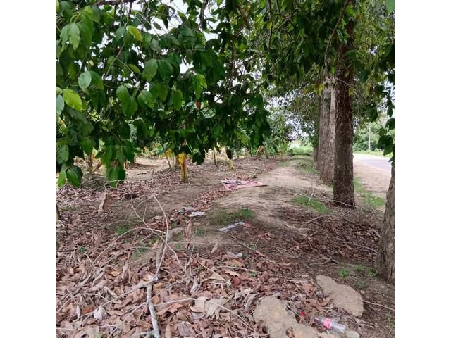 ขายที่ดินบ่อวิน ศรีราชา แปลงงาม ราคาดี ใกล้อีสเทิร์นซีบอร์ด