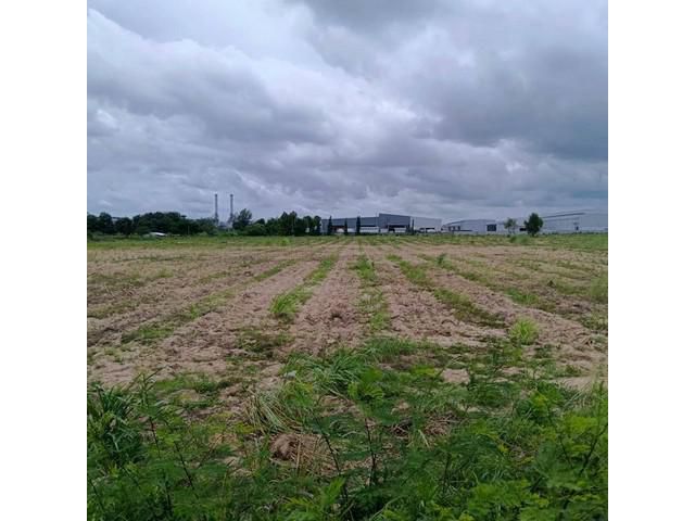 ขายที่ดินระยอง มาบยางพร ปลวกแดง แปลงสวย ติดนิคมอีสเทิร์นซีบอร์ด