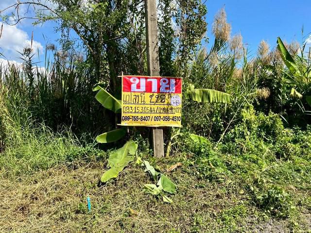 ขายที่ดินถมแล้ว 228 ตร.วา. วังน้อย อยุธยา ใกล้พหลโยธินขาเข้ากร