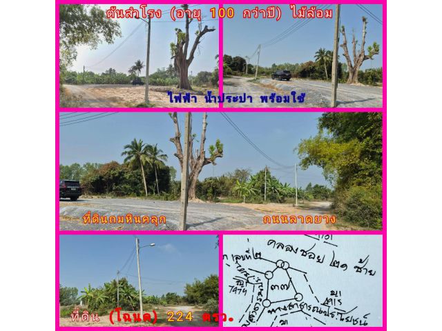 (โฉนด) ที่ดิน 224 ตรว. (พร้อมถม) และ ต้นไม้ใหญ่ อายุ 100 ปี หน้าติดถนนลาดยาง คลองน้ำ ไฟฟ้า น้ำประปา (พร้อมใช้) ม.10 ต.ดอนคา อ.อู่ทอง จ.สุพรรณบุรี