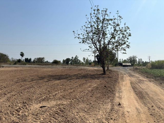 ขายที่ดินเปล่า200ตรว.โฉนดครุฑแดงในเขตชุมชน.