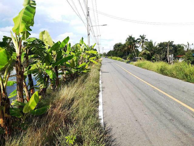 ขายที่ดินนครชัยศรี แปลงสวย ทำลดีติดถนนลาดยาง ใกล้จุดขึ้นลง ทางด่วนบางใหญ่-ทวาย(M81) เนื้อที่ 2 ไร่ เหมาะปลูกบ้านทำธุรกิจ