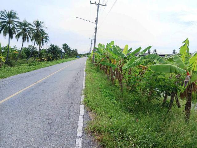 ขายที่ดินแปลงสวยทำเลดี เนื้อที่ 4 ไร่ อ.นครชัยศรี ติดถนนลาดยาง ใกล้จุดขึ้นลงทางด่วนบางใหญ่-ทวาย 500เมตร เหมาะทำธุรกิจ