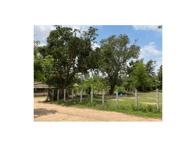 ขายที่ดินเหมาะทำบ้านสวน ติดถนน คสล. 2 ด้าน มีระบบสาธารณูปโภคครบครัน