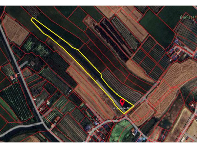 ขายที่ดิน ตำบลบางพระ อำเภอนครชัยศรี นครปฐม ถนนวัดหลวงพ่อเปิ่น ใกล้วัดกลางบางพระ