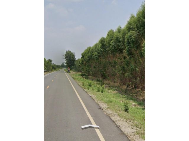 ขายที่ดินแปลงสวย 274 ไร่ ต.เกาะขนุน อ.พนมสารคาม จ.ฉะเชิงเทรา ใกล้ถนนหลวงเส้น 331