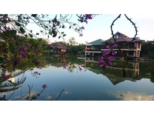 ขายบ้านพร้อมสวนไสตล์รีสอร์ท ถนนเลียบคลองสิบ อ.หนองเสือ จ.ปทุมธานี