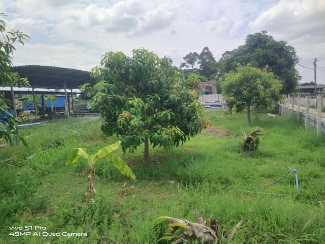 L1586 ขายที่ดินวิวภูเขา 1 ไร่ ใกล้ถนน.362 เมืองสระบุรี