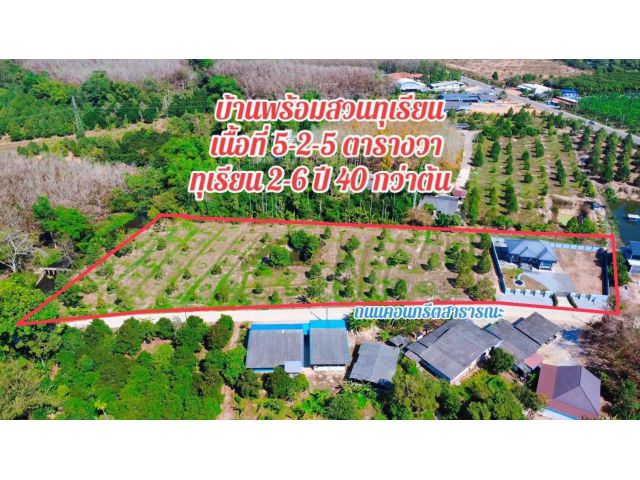 ขายบ้านพร้อมสวนทุเรียนต.ตะพงจ.ระยองเนื้อที่5ไร่2งานขายราคา10.000.000ลบ