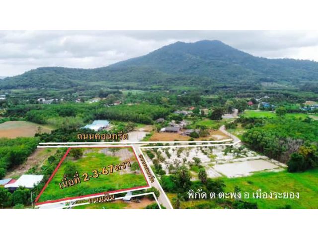 ขายที่ดินเปล่าต.ตะพงจ.ระยองเนื้อที่2ไร่3งาน67ตรว.