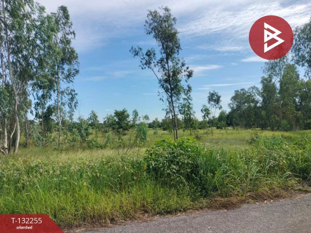 ขายที่ดิน เนื้อที่ 4 ไร่ 3 งาน 42 ตร.วา องครักษ์ นครนายก