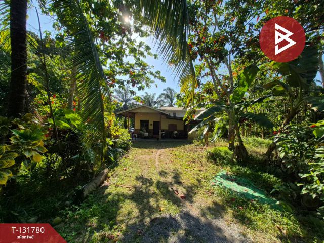 ขายที่ดินพร้อมสิ่งปลูกสร้าง 2 ไร่ 1 งาน 26.4 ตารางวา คลองน้อย สุราษฎร์ธานี