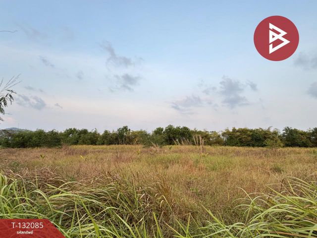 ขายที่ดิน เนื้อที่ 1 ไร่ 4 ตารางวา ต.เพ ระยอง