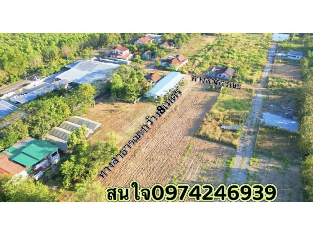 ขายที่ดิน100ตรวราคา269,000บาท/ผ่อนได้แถวบ้านทุ่งขาม ต ลาดตะเคียน อ กบินทร์บุรี จ ปราจีนบุรี